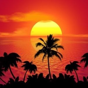 Meet your Posher, Jackson